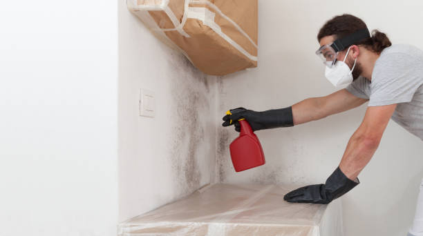 Professional Mold Removal technician working in Long Beach, MD