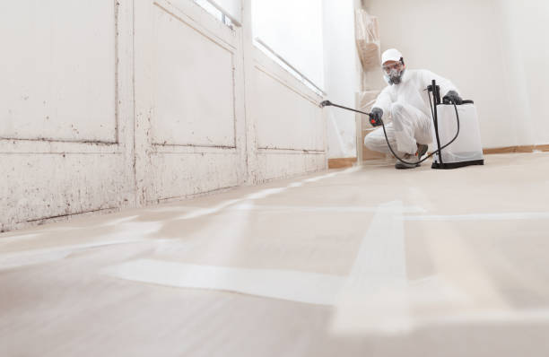 24/7 Emergency Mold Removal experts in Long Beach, MD